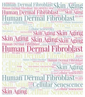 J Skin Stem Cell